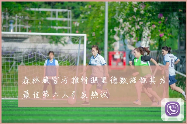 森林狼官方推特晒里德数据称其为最佳第六人引发热议