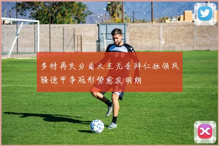 多特再失分南大王无奈拜仁独领风骚德甲争冠形势愈发明朗